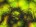 LSD_Morfin