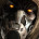 Doberman445