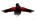Red Crow