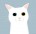 minecraft14042004@gmail.com