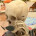 Swallow_cum382