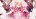 Saika
