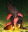 user463346
