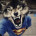 user466225