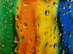 RAID