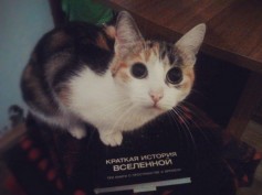 Gригорий Яфьнслшн