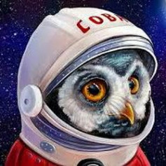 OwlSWAT