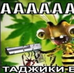 Tecaza