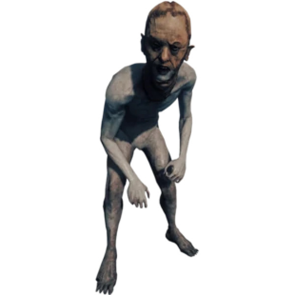 1000220550.jpg
