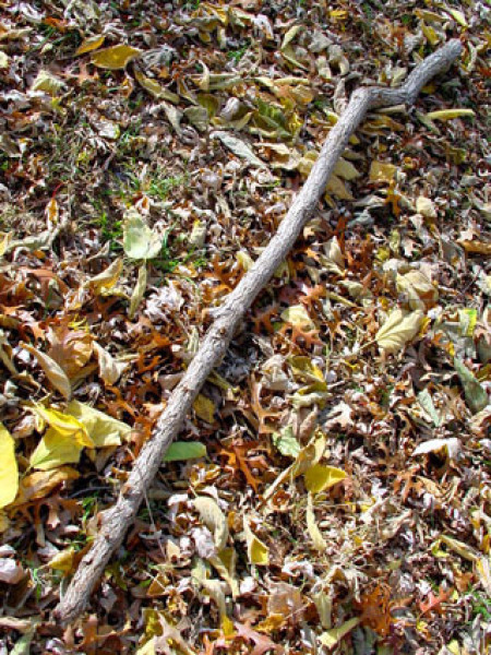 full-stick-1286725410.jpg