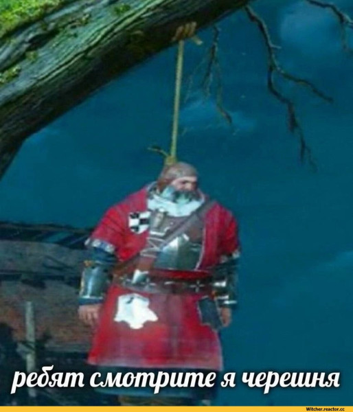 coub-3-the-witcher-4858026.jpg