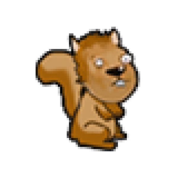 squirrel-beta-.jpg