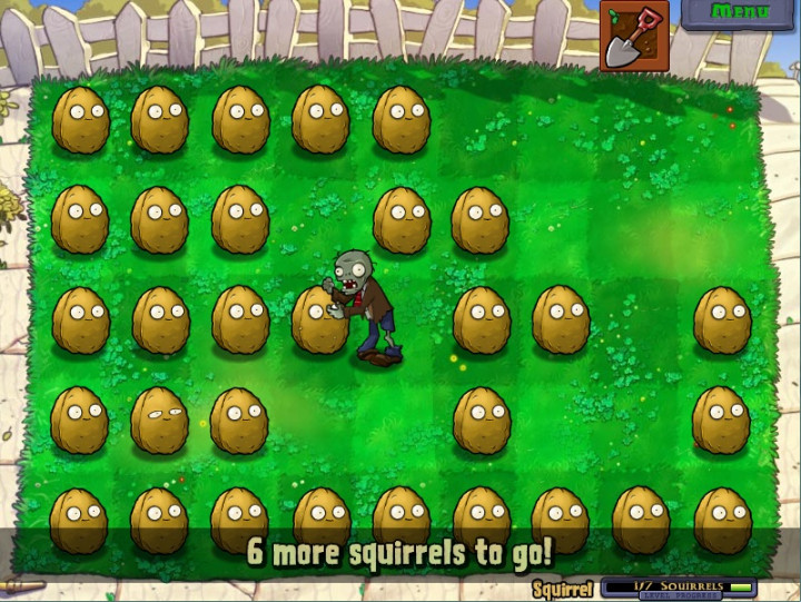 squirrel.jpg