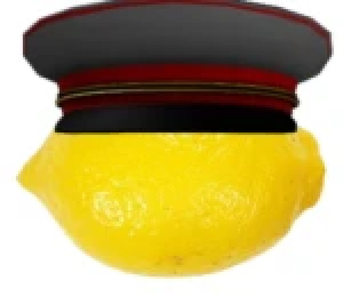 webp-11-.jpg
