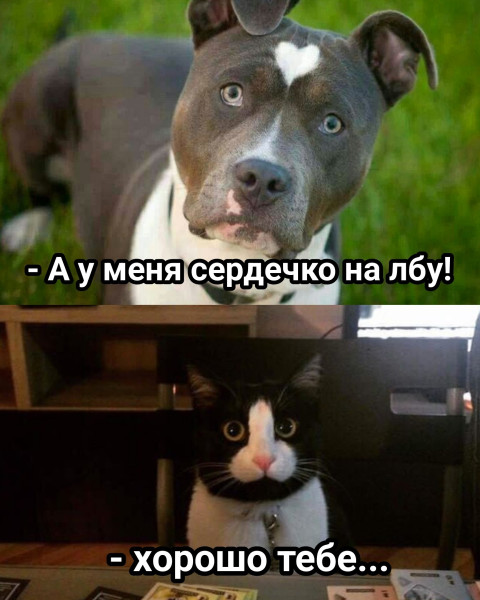 bgxrvtncewrfcdy2ibxzzfod-eg-pejg-x9gderpuqos90ggi9aptdlsyhhiqplkxewp8-r87htrvf2c-qgsf3hv.jpg