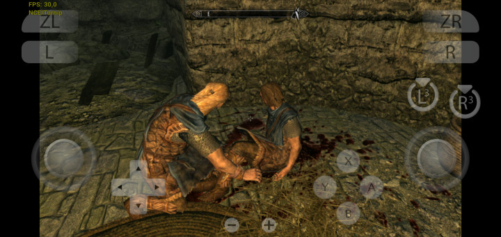 screenshot-20250121-224335-citron.jpg
