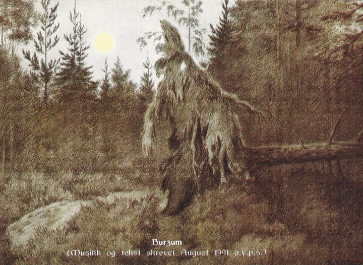 tree.jpg