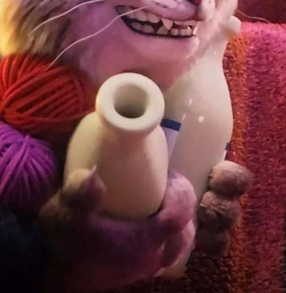 milkblya.jpg